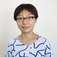 qi li mit economics phd